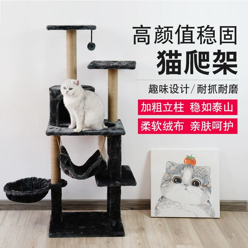 Кошка кошка скалолаза