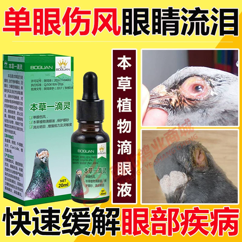 Thuốc chữa bệnh cho chim bồ câu - Thuốc nhỏ mắt