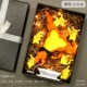 【Подарочная коробка】 -foro Dragon