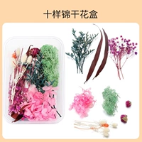 Десяти -подобная цветочная коробка парней