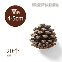 Сосновые конусы [20 установок] высотой 4-5 см.