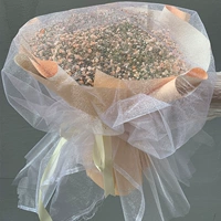 Big Beam Orange Monter Отправить свет