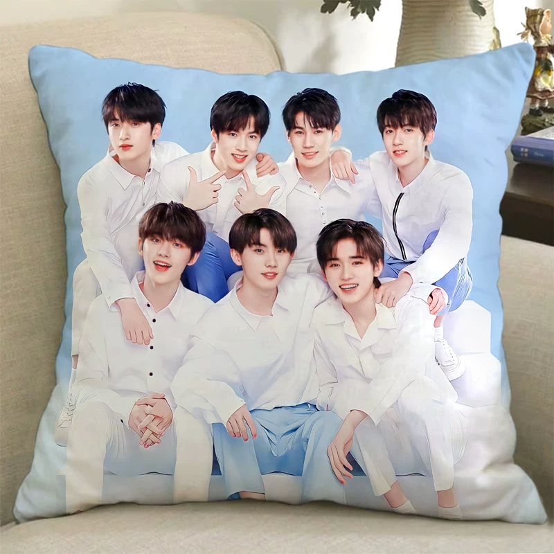Плакат с изображением куклы TNT Times Youth Team Pillow Song Yaxuan Liu Yaowen Ma Jiaqi Pig Pigramate подарок
