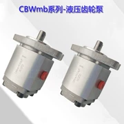 Bơm bánh răng thủy lực CBWmb-F1.0/2.0/3.0/4.0/5.0/6.0/-ALP bơm dầu bánh răng áp suất cao giá bơm thủy lực piston hướng trục bơm thủy lực mini 12v