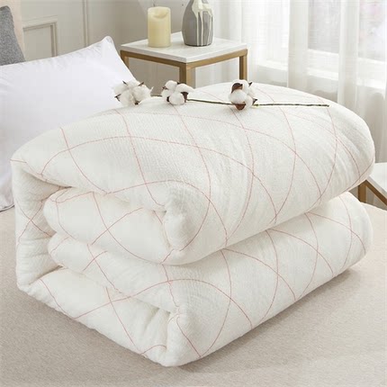 棉被床垫褥子被芯单人春秋冬被被褥加厚被