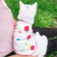 Прохладная летняя тонкая клубника