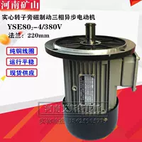 . YSE02 Electric L4-0.888 кВт Henan Mining Soft запустил электрические автомобили.