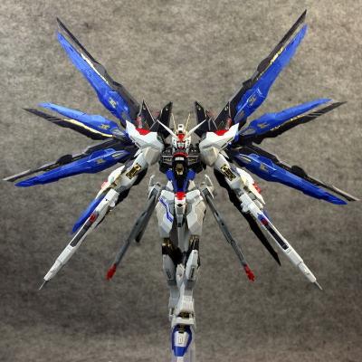 The Most Handsome And The Strongest Attack On Freedom (Taipan)Special clearance price Big class DX Model Assembly MG1 / 100 , z , Yellow Wolf , storm , heresy free