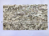 Мексиканская бумага с убалова и раковина