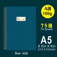 A5 Manual ledger (2)