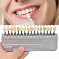 Teeth Whitening Set with 16 colors dental contrasting colors