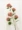 hoa giả lộc mai Cực dài 5 đầu hoa cẩm tú cầu mô phỏng hoa cẩm tú cầu cưới hoa cẩm tú cầu mô phỏng hoa cẩm tú cầu lớn cầm tay bó hoa cưới hoa hành tây hoa baby giả cây cảnh giả trang trí phòng khách