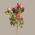 cây giả giá rẻ 5 cành hoa hồng khô, hoa giả, bó hoa hồng retro, hoa để bàn, hoa phong cách Châu Âu, hoa giả, trang trí nhà cửa lọ hoa giả để bàn bình hoa giả đẹp Cây hoa trang trí