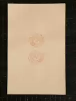 Бумага Cai бумага дерево -редакция водяных знаков бумажный код мета -книга