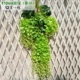 110 см фруктовый зеленый (цена 1)