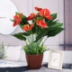 № 1 кофейный квадратный горшок+10 высокий