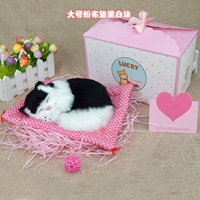 Большая __ Порошковая подушка черная белая блок спящая кошка -с подарочной коробкой с подарочной коробкой