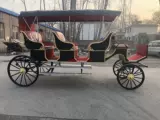 Продажа изысканной туристической туристической перевозки в стиле европейского стиля настоящая каретка живописные места, туристический туризм, туристический свадебный прием пищи.