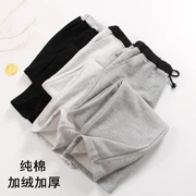 Mùa thu và mùa đông dày quần pyjama nam cotton cộng với quần nhung nhà rộng kích thước lớn quần thể thao nhà giản dị có thể được mặc bên ngoài