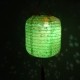 Зеленый 6 -дюймовый зимний дыни красочный свет