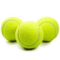 Двухуровневый теннис (начальная школа PET)
