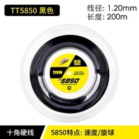 TT5850 Черная тарелка