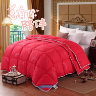 Trẻ em hai-trong-một được dày lên để giữ ấm mùa đông chăn bằng lõi 220x240 12 13 kg 2x2.3 m 10 11 kg