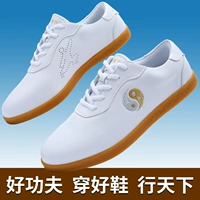 Tai Chi Shoes Leath