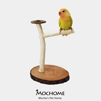 Tiger Skin Suanfeng Peony Parcel Bird Natural Branch Desktop Share Shelc
