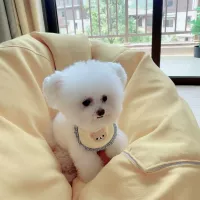 Слюнявчик, нагрудник, милый регулируемый шарф, круглый воротник