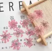 Оранжево-красный