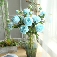 Рисовый белый пион цветок голубой 5
