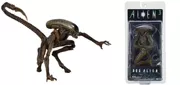 Bán hợp đồng người ngoài hành tinh NECA Người ngoài hành tinh 8 con chó hình sóng Ripley Nữ diễn viên có thể làm điều đó - Capsule Đồ chơi / Búp bê / BJD / Đồ chơi binh sĩ