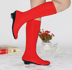 пуанты 藏族舞鞋少数民族蒙古舞蹈靴女式舞蹈舞台演出鞋女兵弹力广场舞靴