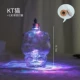 KT Cat Bottle Plus Led Light