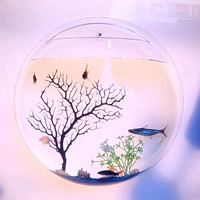 Круглый 420 мм прозрачная огромная модель