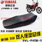 Xây dựng phụ kiện xe máy Yamaha JYM125-B-2 Tianjian YBR đệm gốc ghế đệm túi gốc - Đệm xe máy