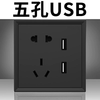 Пять -отверстие двойной USB