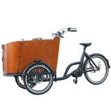 Грузовой велосипед европейский инвертированный трехколлетний велосипедный велосипед, восемь среднего электрического электрического электрического электрического и электрического мощности.