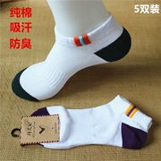 Bốn mùa cotton lưới vớ nam phần mỏng eo ngắn vớ cotton thấp để giúp các thuyền thoáng khí mùa xuân và mùa thu thể thao chạy 5 cặp