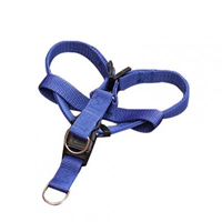 Синий грудь и спина