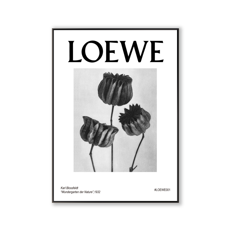 CLOEWE-2ins Decorative painting Northern Europe Drawing room restaurant couture Floor painting Porch bedroom Minority Hang a picture