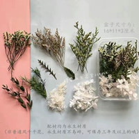 Ярко -зеленые растения совпадают