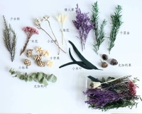 Маленькая сухая фруктовая трава, комбинированные зеленые растения