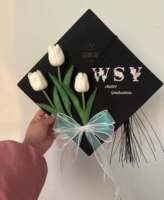 Выключатели тюльпана выключатели содержит ученый шляпа+пластиковая пистолет+пластиковая полоса 6