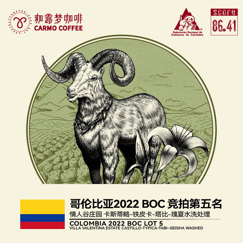 Colombia 2022 BOC fifth place Lover Valley Manor Castillo green coffee beans