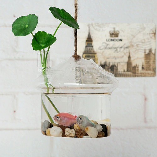 Креативный глянцевый прозрачный современный аквариум с грибочками-гвоздиками, украшение