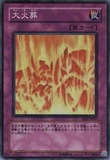 SR Face Cremation Game King