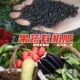 1 кошечки фруктов и овощных органических удобрений (легко поглощать нижние удобрения)
