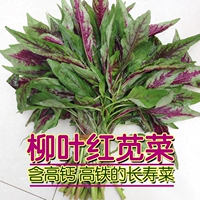 Liuye Red Amaranth 8G Original (многие антоцианины)